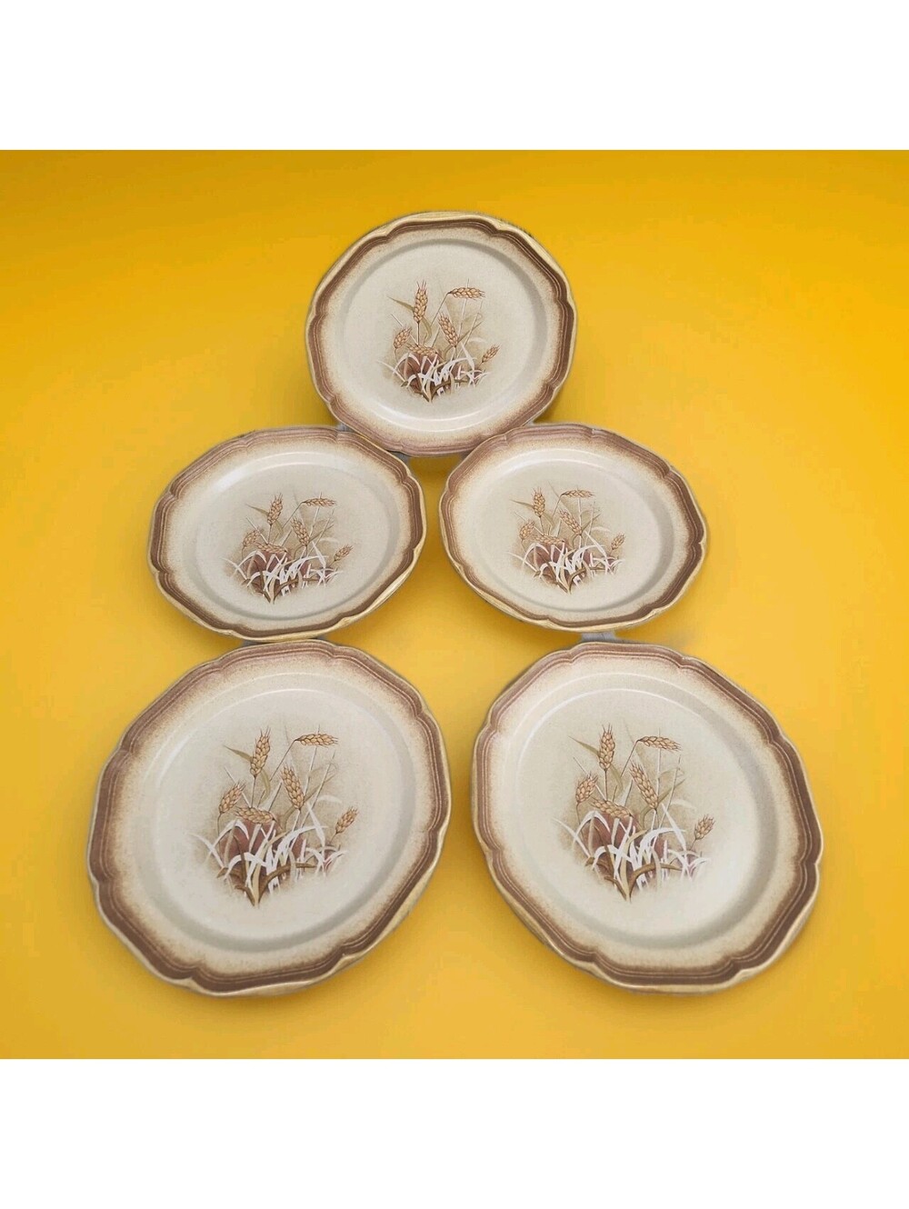 Mikasa Whole Wheat Granola E8001 Dinner Plates 11" - Set of 5